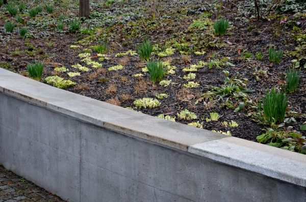 Cost of Concrete Wall Construction in Monroe Township