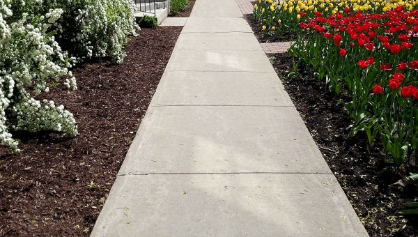 Cost of Cement Sidewalk Installation in Monroe Township